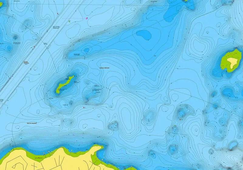 Navionics Plus NAUS007R U.S. East microSD