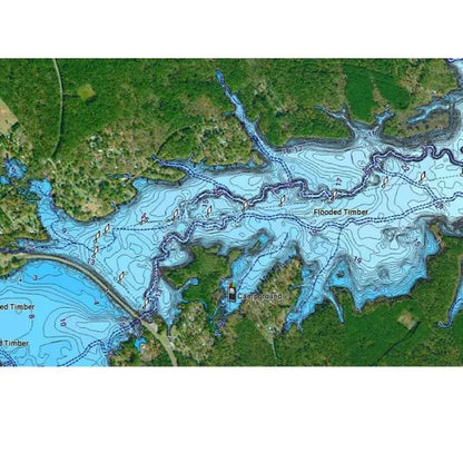 Garmin NVSA004L Navionics+ Vision+ Mexico to Brazil microSD