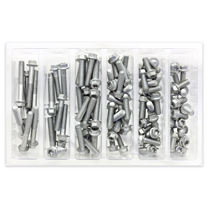 BOLT SVC M6 Euro Torx Bolt Assortment (Part Number: SV-M6EURO)