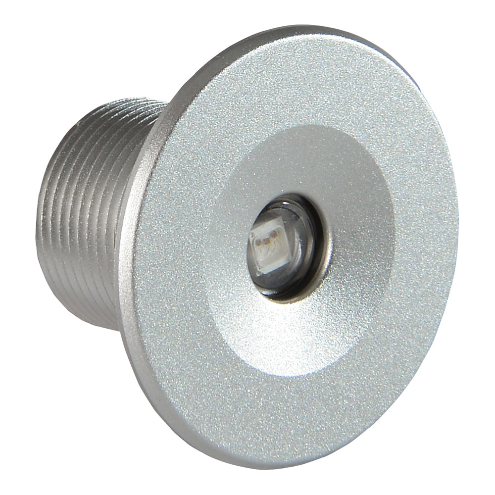 Lumitec Echo Courtesy Light with Brushed Housing and White Illumination