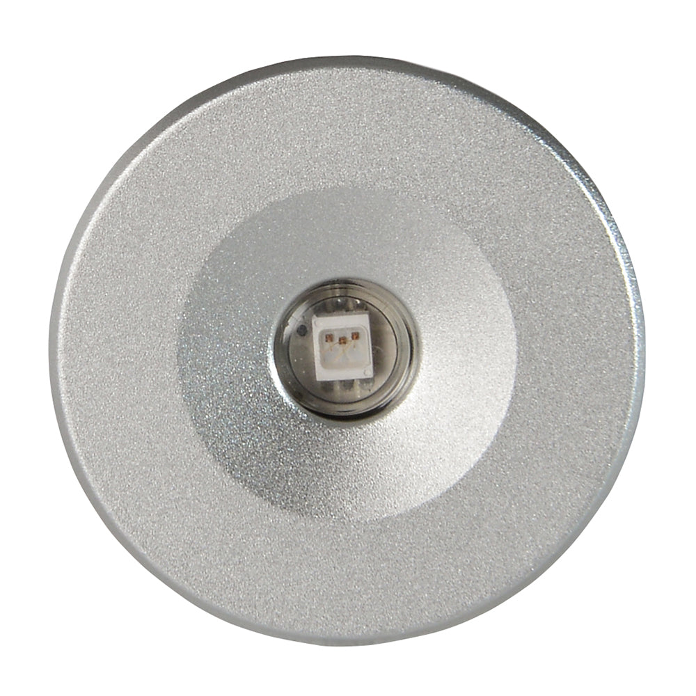 Lumitec Echo Courtesy Light with Brushed Housing and White Illumination
