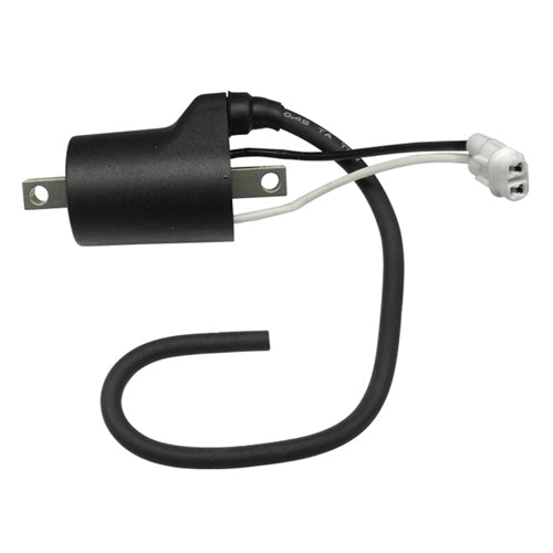 SPI Ignition Coil for Polaris - Part Number SM-01111