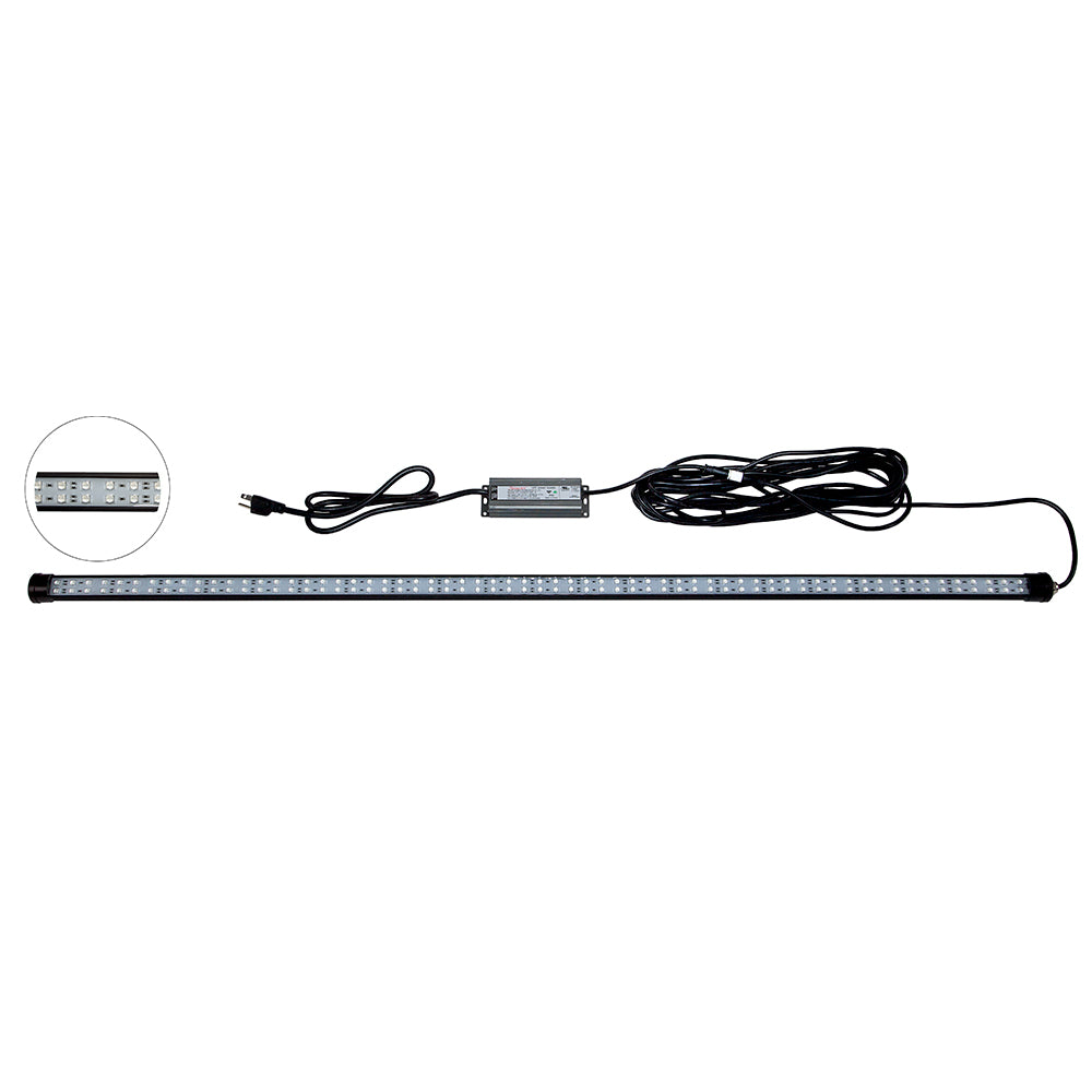 Hydro Glow DM260B 40W/120VAC Blue Dock Mounted Fishing Light for Above Water Use