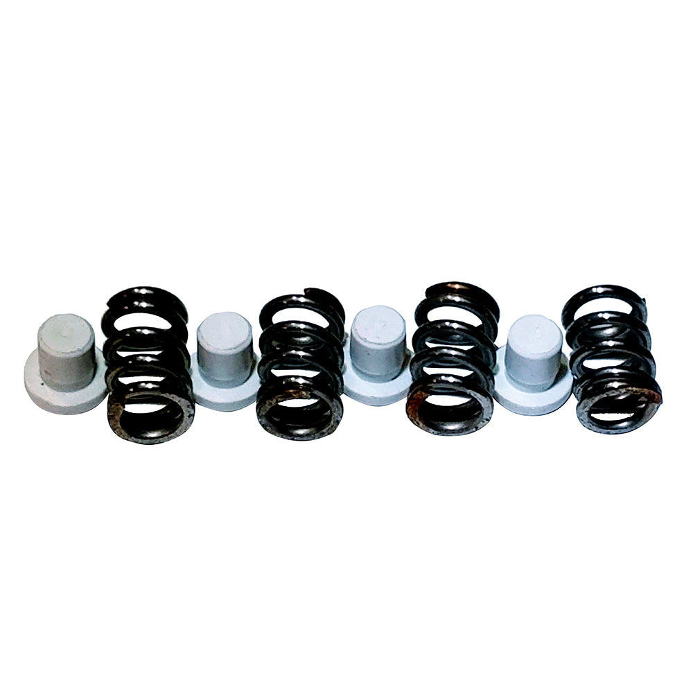 Maxwell P101550 Plunger and Spring Kit for VWX 2200-4500