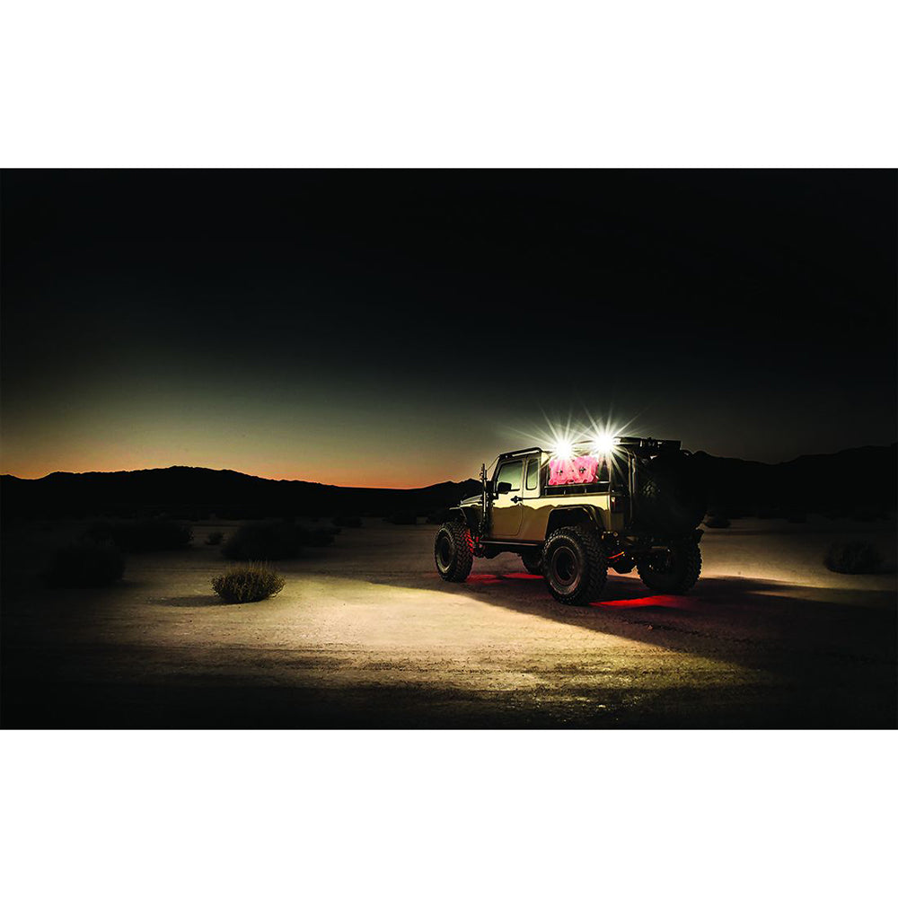 RIGID Industries 2x2 115-Degree DC Scene Light - Black