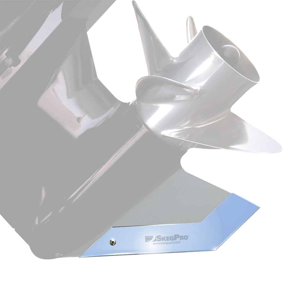 Megaware SkegPro 02667 Stainless Steel Skeg Protector for Outboard Motors