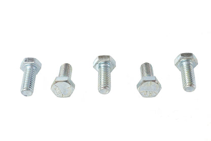 V-Twin Hex Cap Bolts Zinc 5/16 inch-18 x 3/4 inch (Pack of 5)