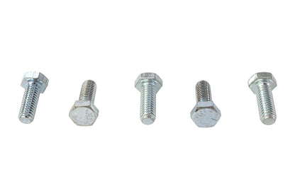V-Twin Hex Cap Bolts Zinc 5/16 inch x 7/8 inch - Pack of 5