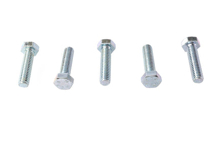 Hex Cap Bolts Zinc 5/16 inch X 1-1/4 inch