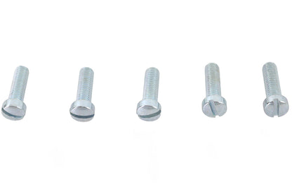 V-Twin Fillister Head Screws 10-32 x 5/8 inch Zinc – Pack of 5