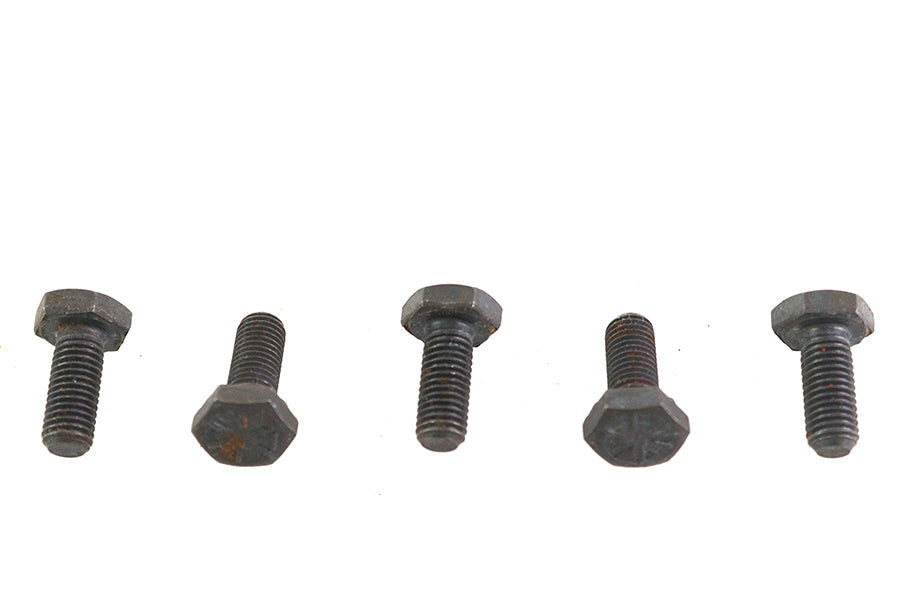 V-Twin Black Hex Cap Bolts 1/4 inch-20 x 3/8 inch (Pack of 5)