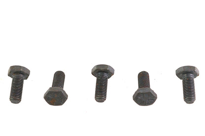 V-Twin Black Hex Cap Bolts 1/4 inch-20 x 3/8 inch (Pack of 5)
