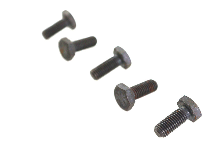 V-Twin Black Hex Cap Bolts 1/4 inch-20 x 3/8 inch (Pack of 5)
