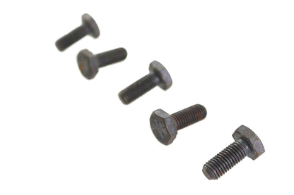 V-Twin Black Hex Cap Bolts 1/4 inch-20 x 3/8 inch (Pack of 5)