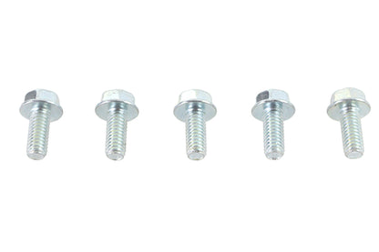 V-Twin Zinc Hex Flange Screws 5/16 inch-18 x 5/8 inch (Pack of 5)