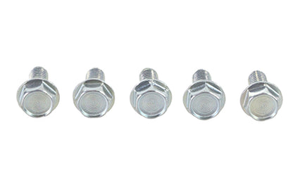 V-Twin Zinc Hex Flange Screws 5/16 inch-18 x 5/8 inch (Pack of 5)