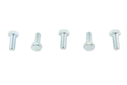 V-Twin Zinc Hex Cap Bolts 5/16 inch-24 x 3/4 inch (Pack of 5)