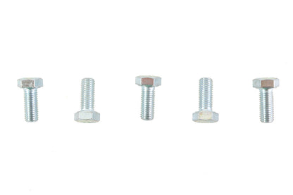 V-Twin Zinc Hex Cap Bolts 5/16 inch-24 x 3/4 inch (Pack of 5)