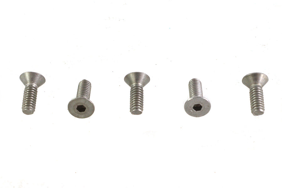 V-Twin Allen Flat Head Screws Stainless Steel (Pack of 5)