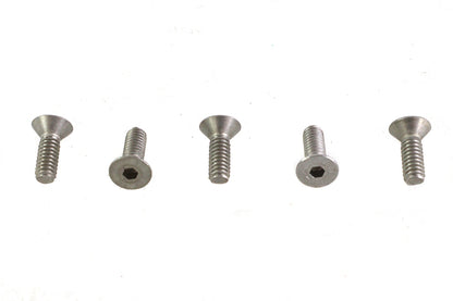 V-Twin Allen Flat Head Screws Stainless Steel (Pack of 5)