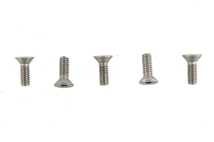 V-Twin Allen Flat Head Screws Stainless Steel (Pack of 5)