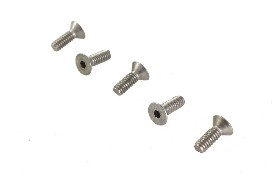 V-Twin Allen Flat Head Screws Stainless Steel (Pack of 5)