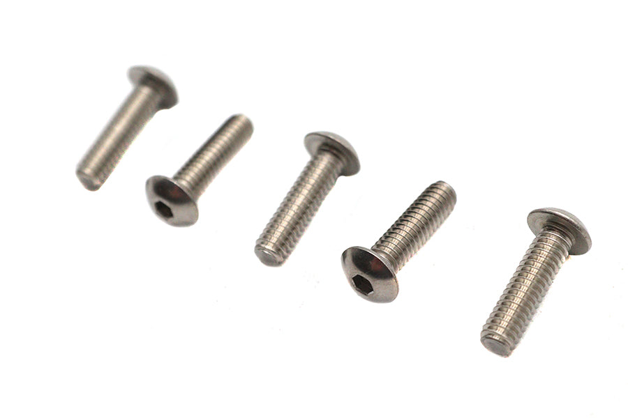 Colony Allen Button Head Screws Stainless Steel 1/4-20 x 7/8 inch (Pack of 5)