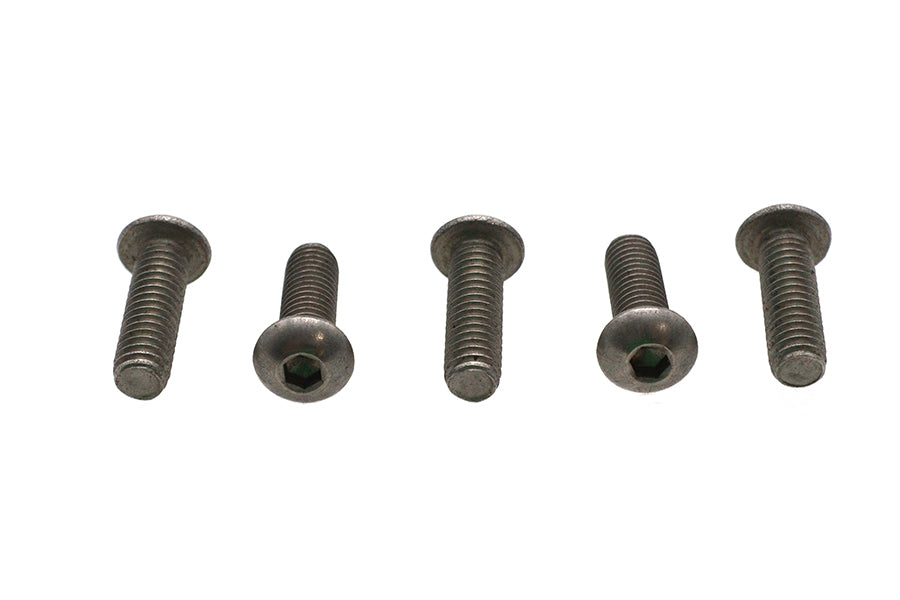 Colony Allen Button Head Screws Stainless Steel 5/16-18 x 1 inch (Pack of 5)
