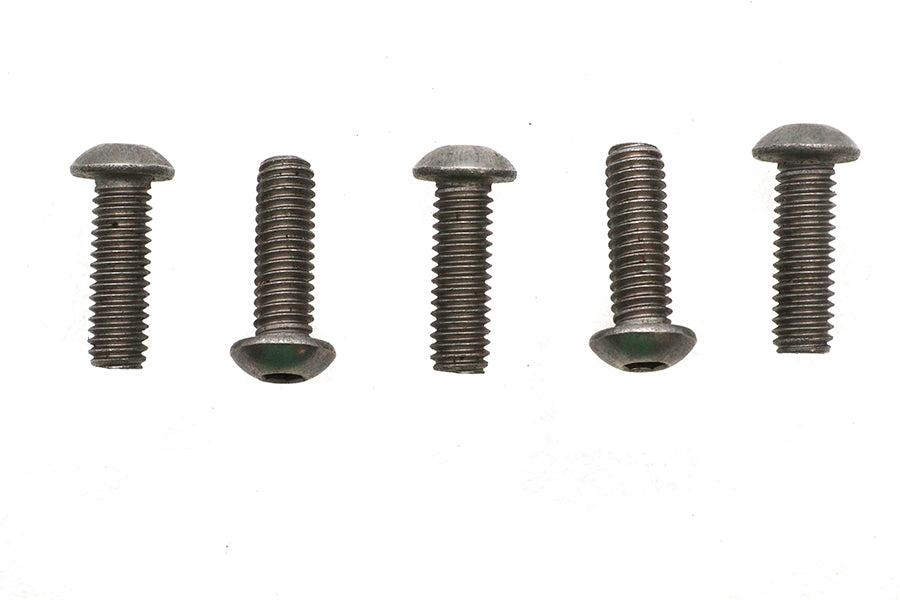 Colony Allen Button Head Screws Stainless Steel 5/16-18 x 1 inch (Pack of 5)