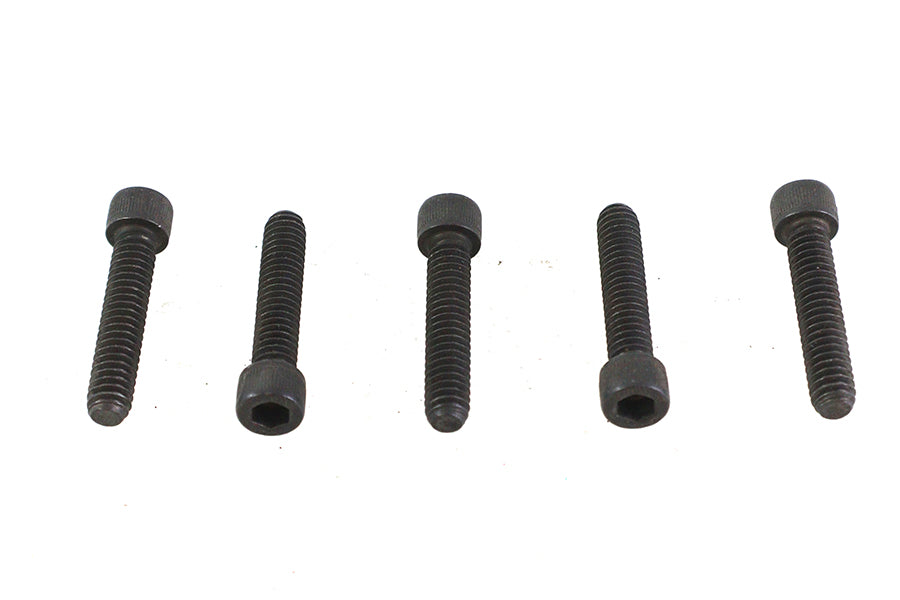 V-Twin 1/4 inch-20 x 1-1/4 inch Allen Socket Cap Screw Black (Pack of 5)
