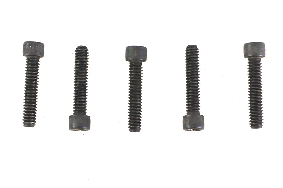 V-Twin 1/4 inch-20 x 1-1/4 inch Allen Socket Cap Screw Black (Pack of 5)