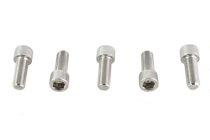 V-Twin 3/8 inch-24 x 1 inch Stainless Steel Allen Socket Cap Screw - Pack of 5