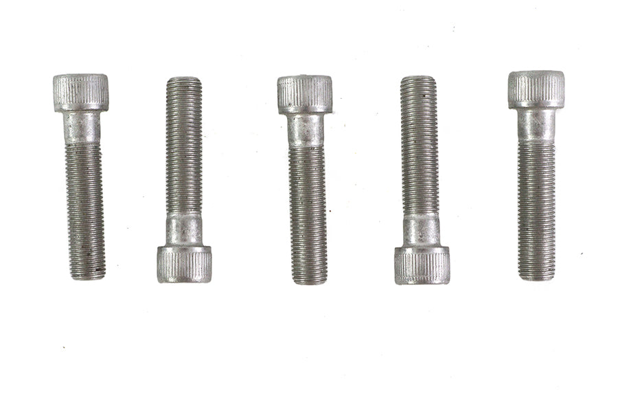 V-Twin 3/8 Inch-24 x 1-3/4 Inch Stainless Steel Allen Socket Cap Screw (Pack of 5)