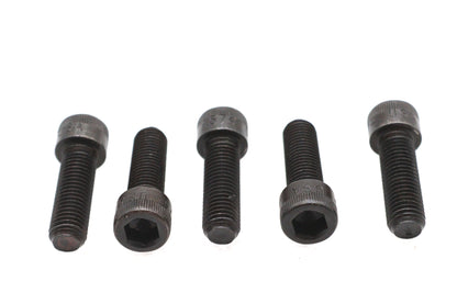 V-Twin Hex Socket Cap Screws Black Oxide - Pack of 5