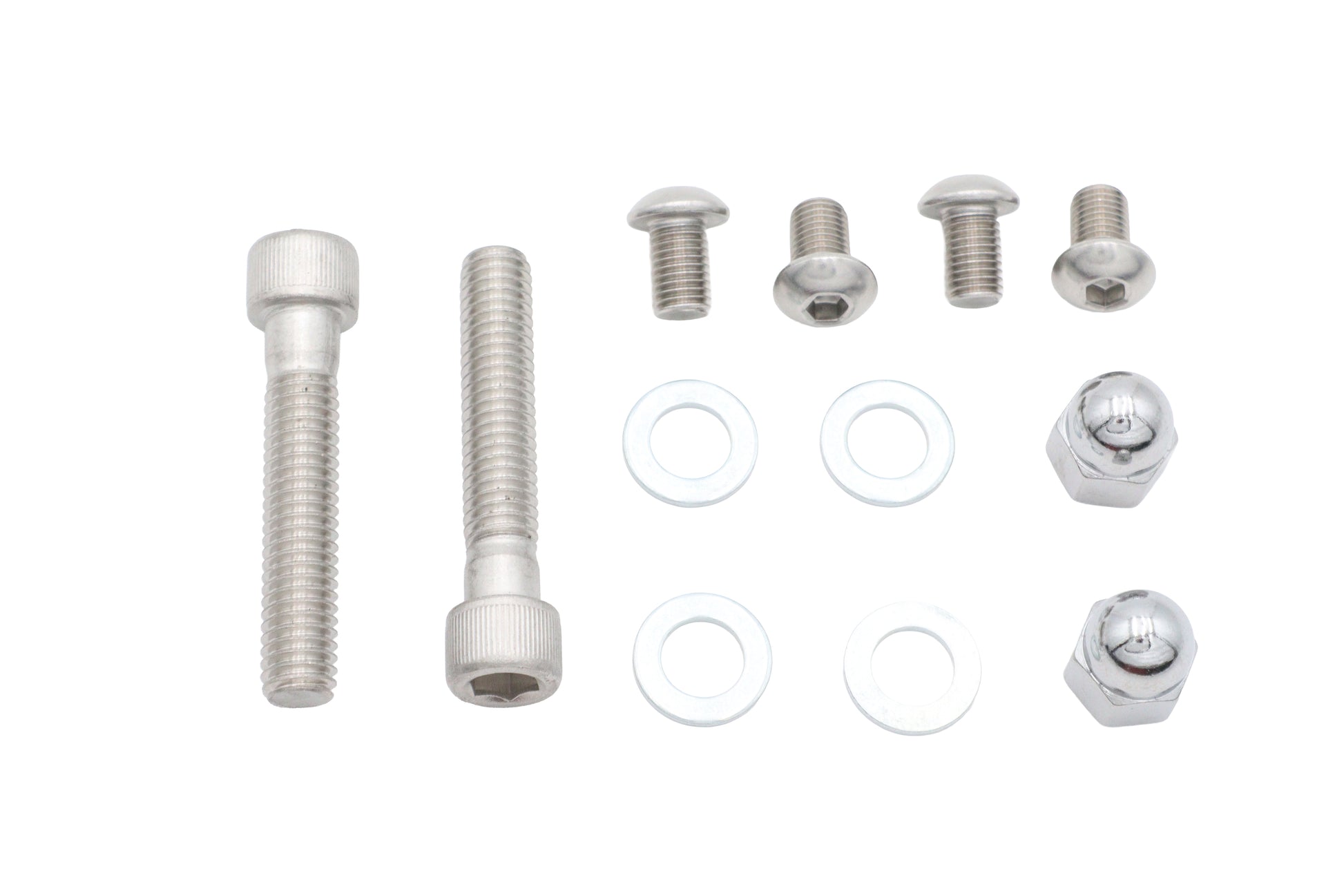 V-Twin Stainless Steel Horn Screw Kit for Harley Davidson FLSTS Models