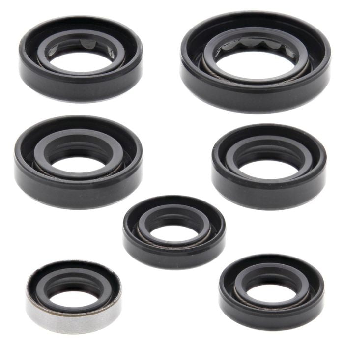 Vertex Engine Oil Seal Kit - Part Number 822289