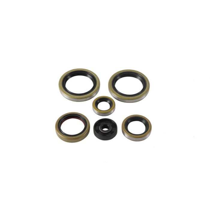 Vertex Engine Oil Seal Kit - Part Number 822370