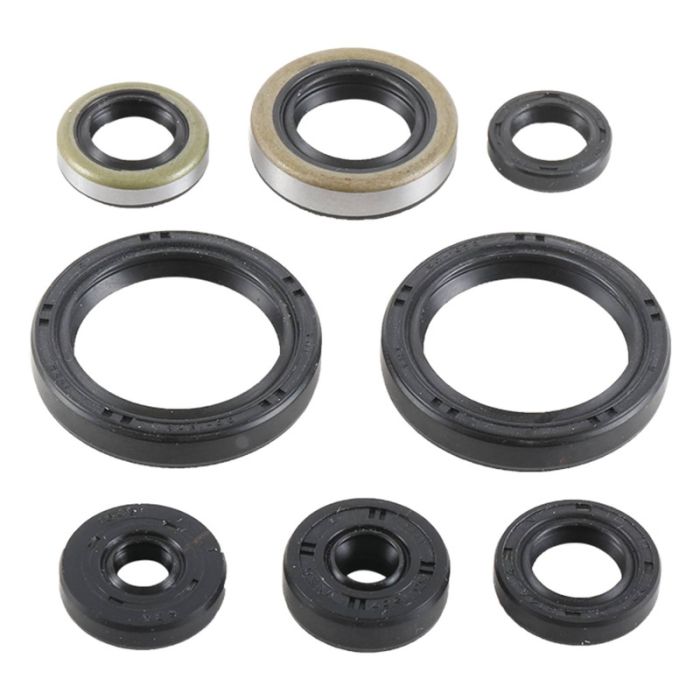 Vertex Engine Oil Seal Kit (Part #822977)