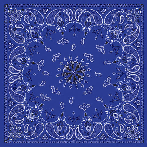 Bobster B002 Premium 22 x 22 Inch Navy Paisley Cotton Bandanna