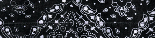 Bobster DC101 CoolDanna 100% Cotton Paisley Black Sun Protection Bandana