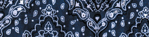 Bobster DC111 CoolDanna 100% Cotton Paisley Navy Bandana