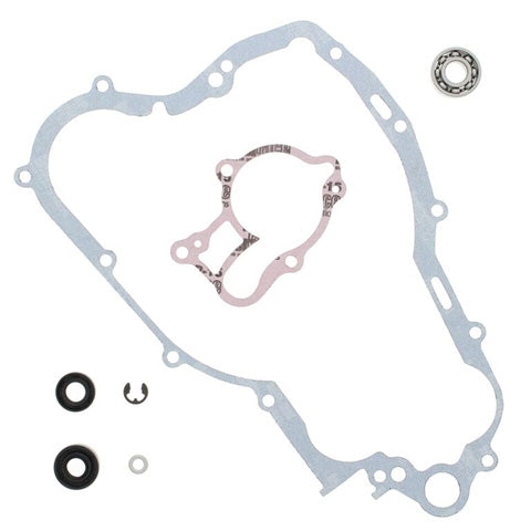 Vertex Water Pump Rebuild Kit (Part Number 821670)