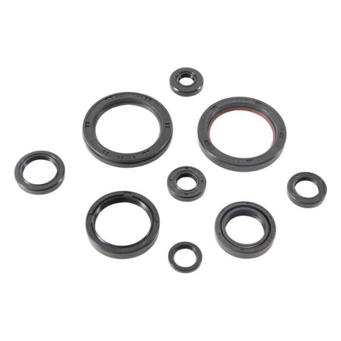 Vertex Engine Oil Seal Kit - Part Number 822989 for Reliable Engine Sealing