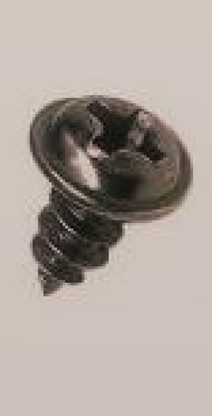 ZOX Screw for ZOX Shield Frame - Model 86-96204