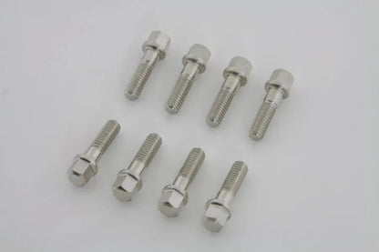 V-Twin Nickel Plated Tappet Block Screw Set (Part Number 8605-16T) by V-Twin