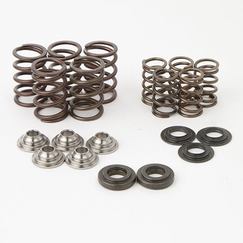 HOTCAMS Valve Spring Kit for Yamaha SKYFM660S2