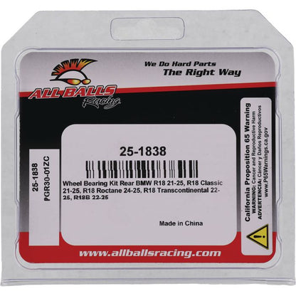 All Balls Racing Wheel Bearing Kit - Part Number 25-1838