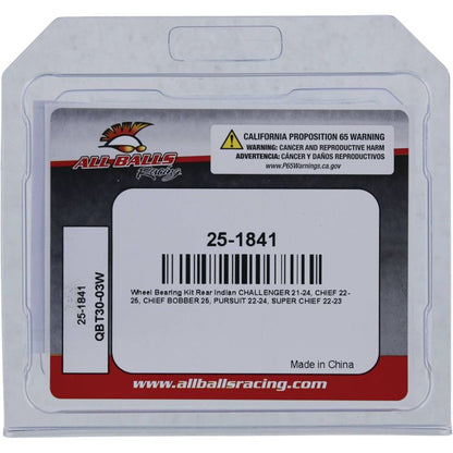 All Balls Racing Wheel Bearing Kit 25-1841 for Enhanced Motorcycle Performance