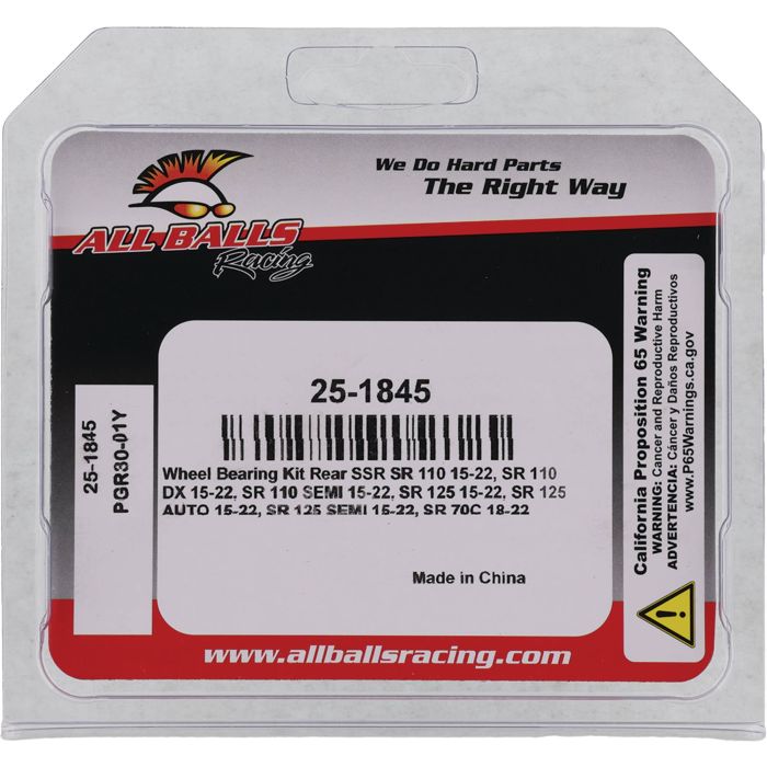All Balls Racing Wheel Bearing Kit (Part #25-1845)