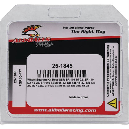 All Balls Racing Wheel Bearing Kit (Part #25-1845)